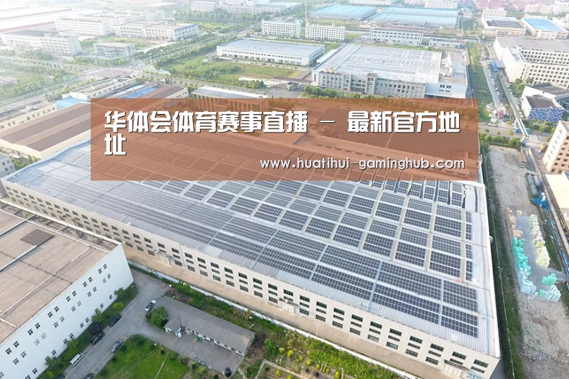 案例展示一