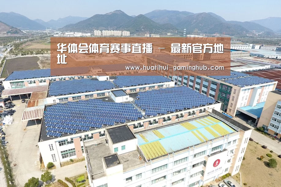 案例展示一