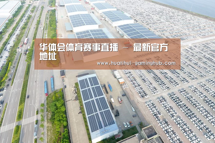 案例展示一
