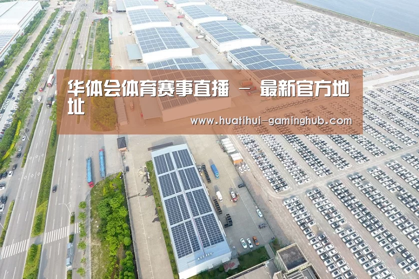 案例展示四
