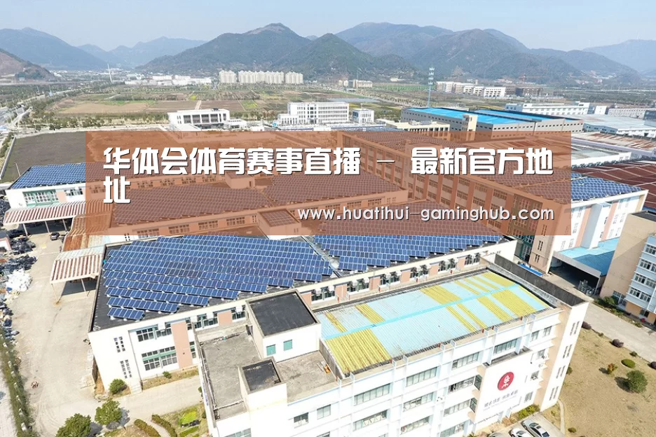 案例展示三