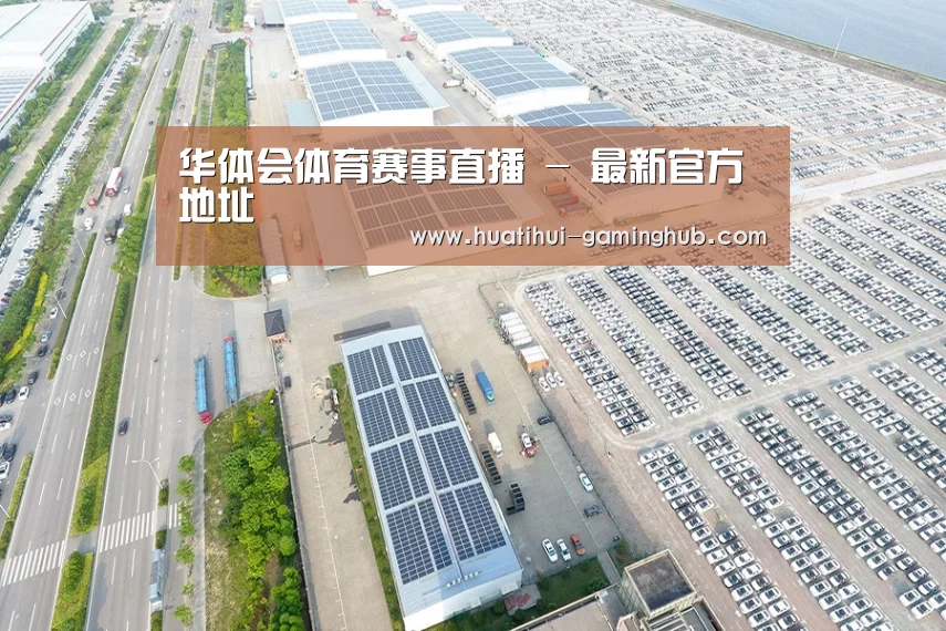 案例展示二