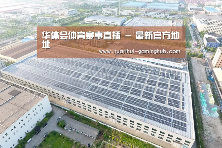 案例展示四