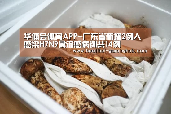 华体会体育赛事直播