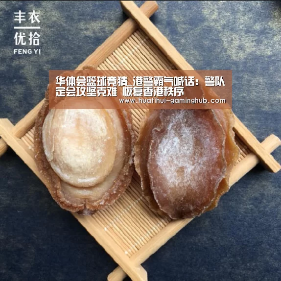 华体会篮球竞猜_港警霸气喊话:警队定会攻坚克难 恢复香港秩序(图3) 华体会体育赛事直播